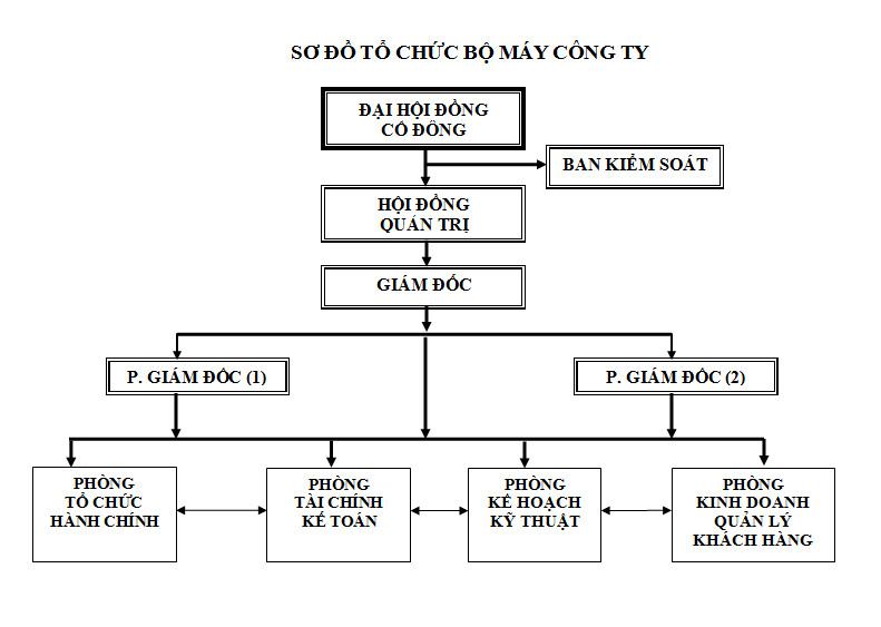 Cơ cấu tổ chức của công ty cổ phần