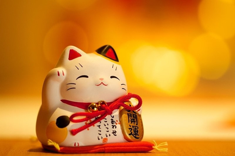 Con Số May Mắn Cho Người Tuổi Mão