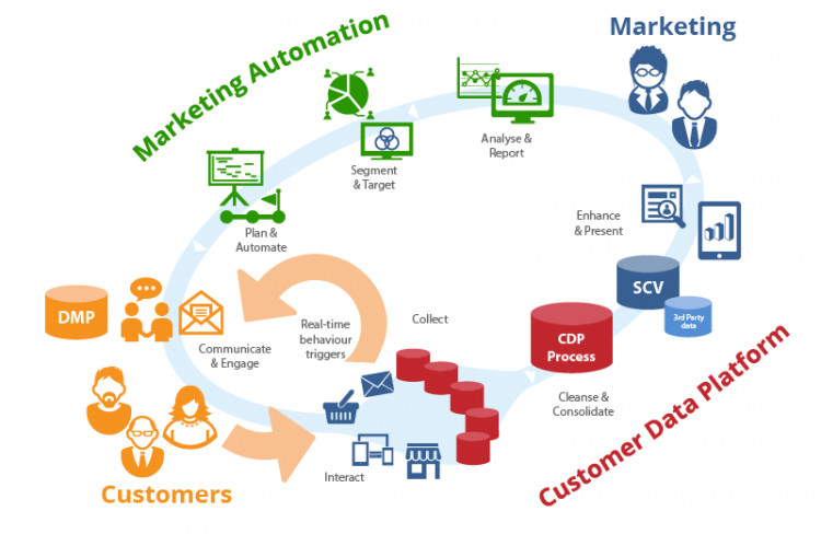 CDP Là Gì? Vai trò của CDP trong chiến lược Marketing