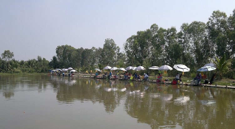 Kinh nghiệm kinh doanh hồ câu cá hiệu quả cho người mới bắt đầu