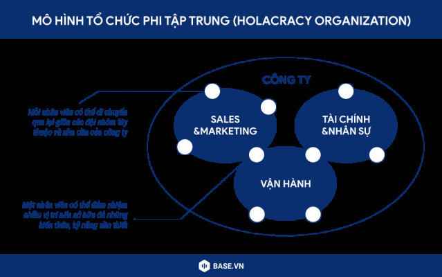 Holacratic Organization