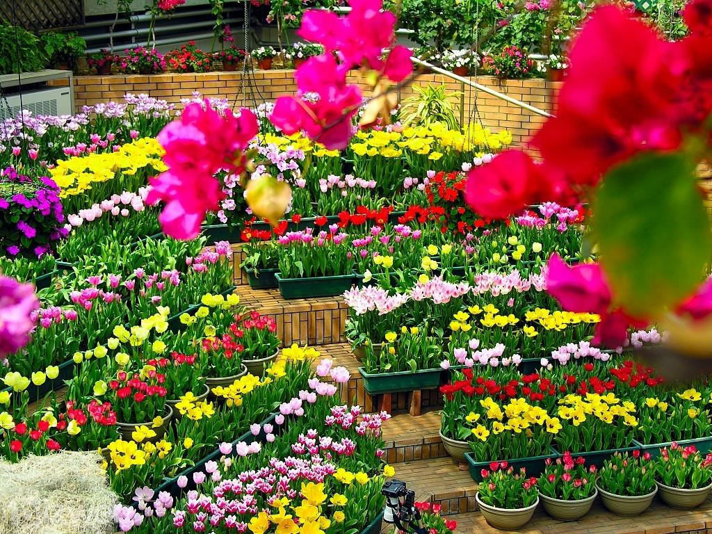 Sinh viên nên kinh doanh gì – Ý tưởng kinh doanh cho sinh viên