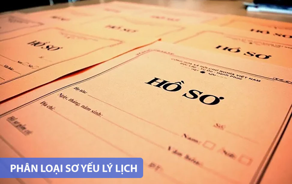 một số loại sơ yếu lý lịch phổ biến hiện nay