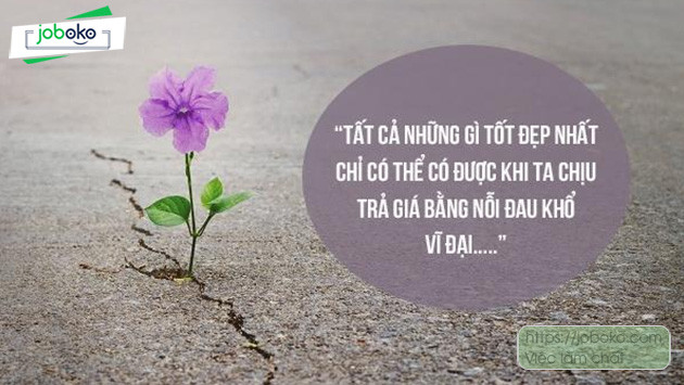 Những câu nói hay tạo động lực, truyền cảm hứng dẫn đến thành công