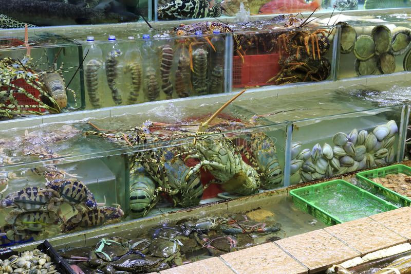Quản lý kho hàng hiệu quả