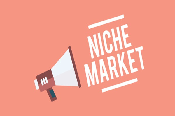 Thách thức của thị trường ngách