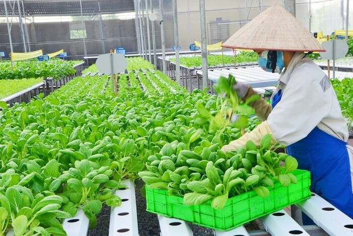 20+ cách làm giàu ở nông thôn thu lợi nhuận cao nhất hiện nay