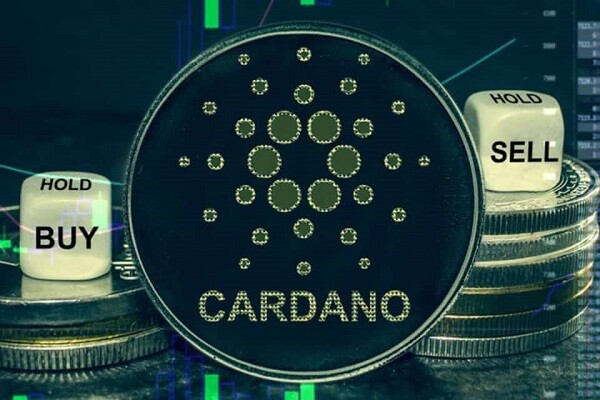 ADA coin là gì? Đừng vội đầu tư nếu chưa biết 4 điều sau