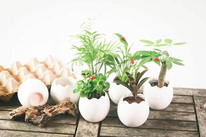 Bán gì với 1 triệu? Tổng hợp 10 ý tưởng làm giàu không khó