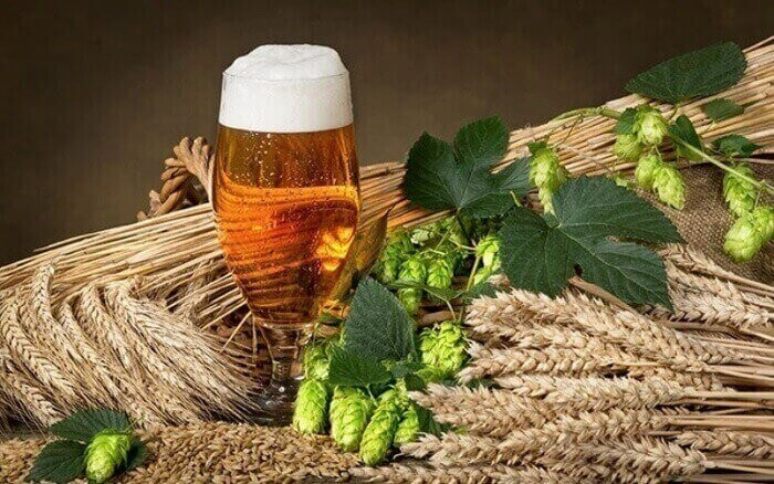 Bia hơi là gì? Phân biệt bia hơi và bia tươi, bia lon, bia chai 