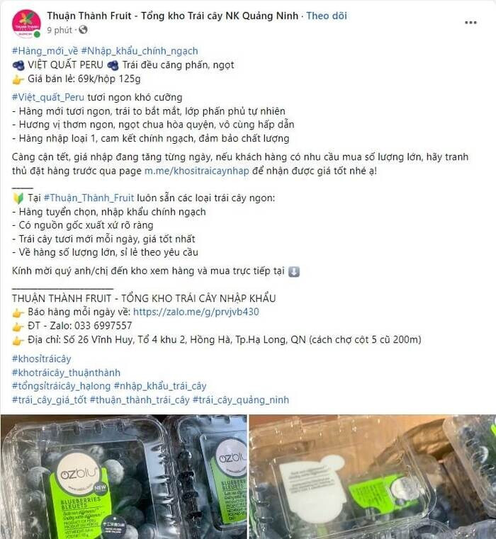 Cách đăng bài bán hoa quả online đa nền tảng hiệu quả nhất