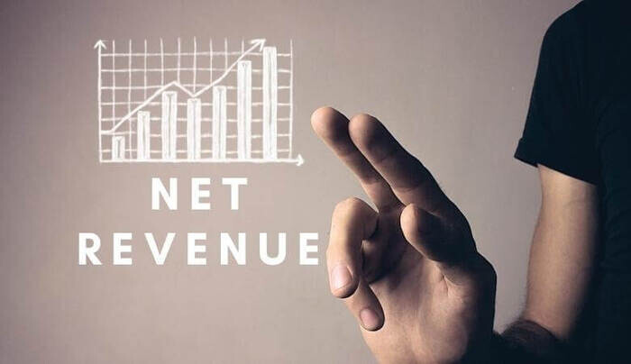 Doanh thu thuần là gì? Cách tính doanh thu thuần như thế nào?