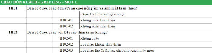 Mẫu Mystery Shopper Checklist chuẩn, được sử dụng phổ biến