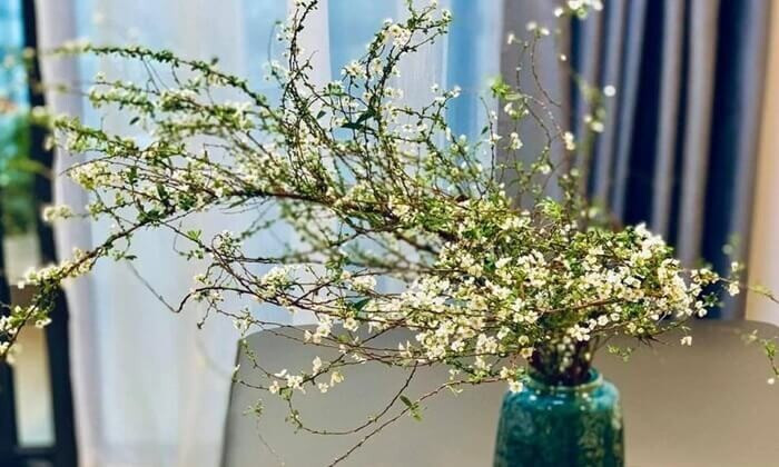 Mẫu STT, caption bán hoa Tết hay, đảm bảo chốt đơn mỏi tay