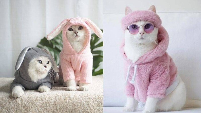 Nên bán gì trên TikTok? Top 10 sản phẩm bán chạy nhất hiện nay