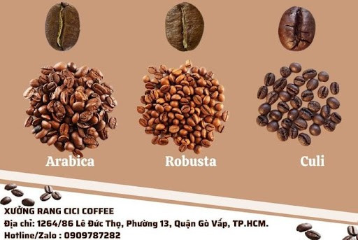Top 10 cơ sở rang gia công cà phê ngon nhất, uy tín nhất