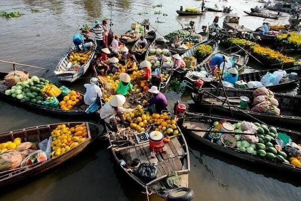 Top 10 địa chỉ cung cấp trái cây sỉ tươi ngon, giá tốt nhất hiện nay