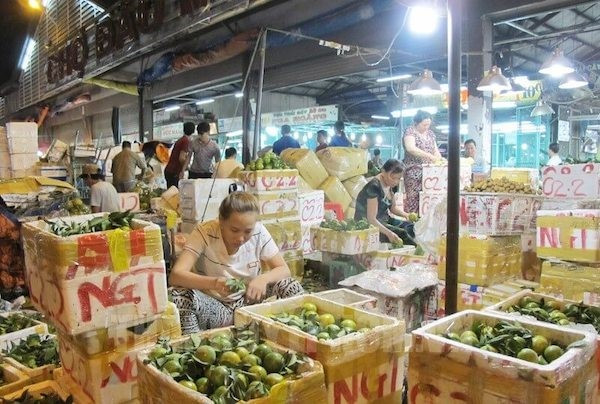 Top 10 địa chỉ cung cấp trái cây sỉ tươi ngon, giá tốt nhất hiện nay