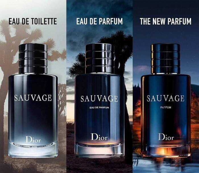 Top 10 nước hoa nam được ưa chuộng và bán chạy nhất mọi thời đại