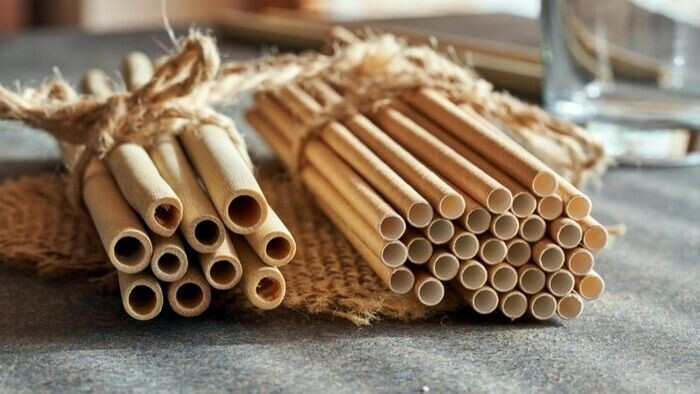 Top 15 các ý tưởng sản phẩm tái chế bảo vệ môi trường độc đáo nhất