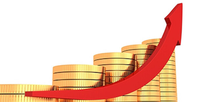 Vốn điều lệ là gì? Những quy định về vốn điều lệ bạn cần biết