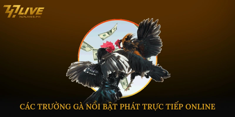 Trực Tiếp Đá Gà Online Nhanh – Link Xem &#038; Kinh Nghiệm 2025