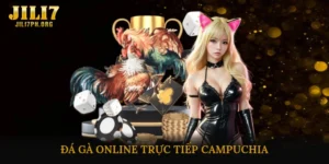 Đá gà online trực tiếp campuchia
