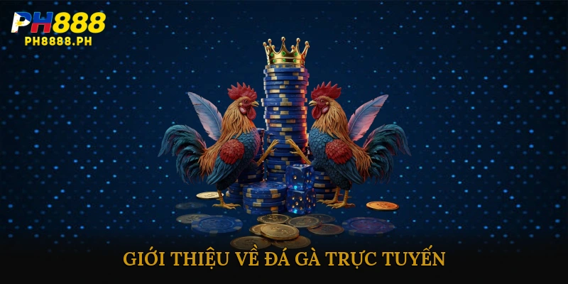 Đá gà trực tuyến nhiều trận hôm nay