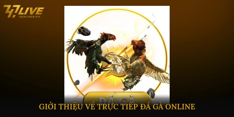Trực Tiếp Đá Gà Online Nhanh – Link Xem &#038; Kinh Nghiệm 2025