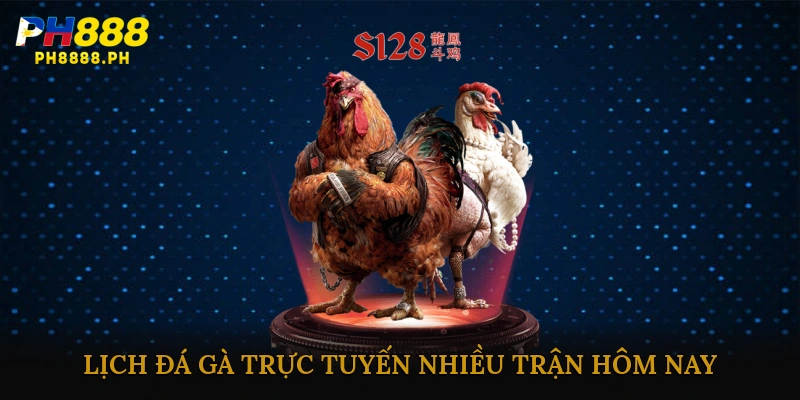 Đá gà trực tuyến nhiều trận hôm nay