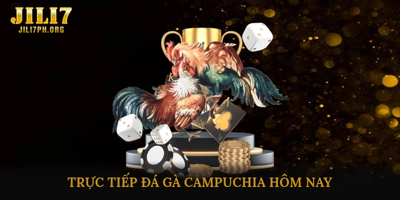 Đá gà online trực tiếp campuchia