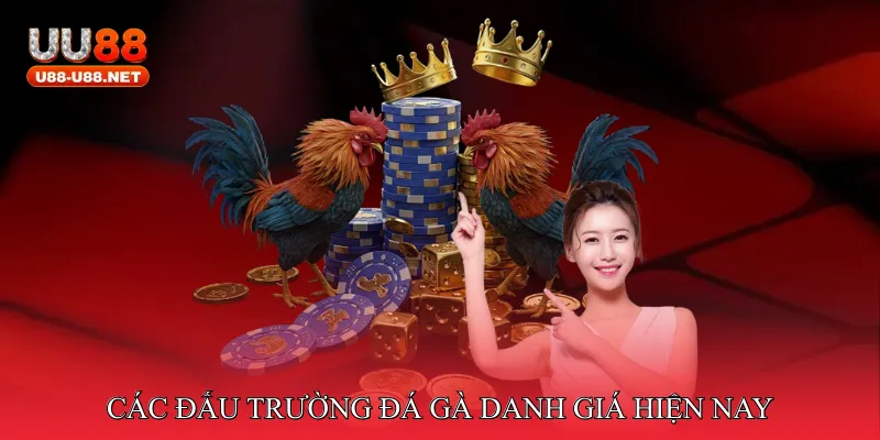 Đá gà đấu trường danh giá
