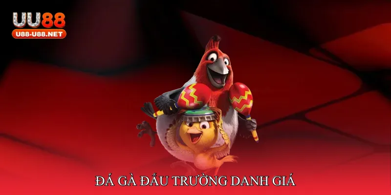 Đá gà đấu trường danh giá