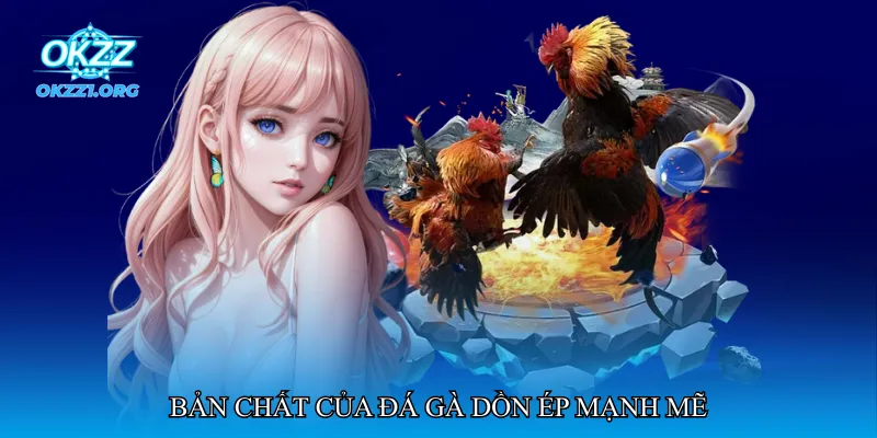 Đá gà dồn ép mạnh mẽ