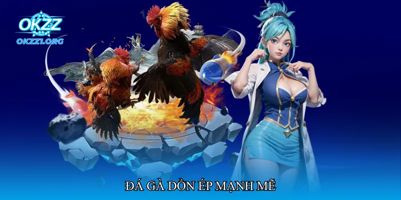 Đá gà dồn ép mạnh mẽ