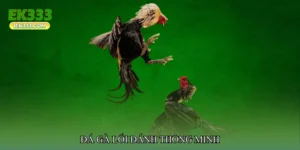 Đá gà lối đánh thông minh