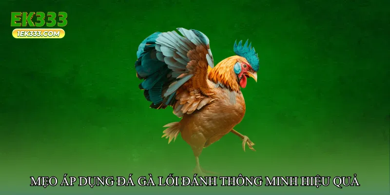 Đá gà lối đánh thông minh